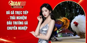 Đá gà trực tiếp