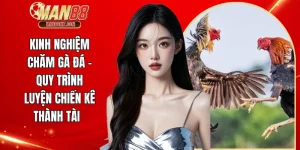 Kinh nghiệm chăm gà đá