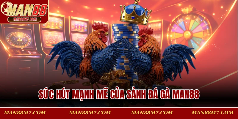 Sức hút mạnh mẽ của sảnh đá gà MAN88