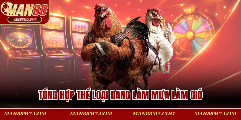 Tổng hợp thể loại đang làm mưa làm gió